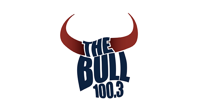 the bull Logo